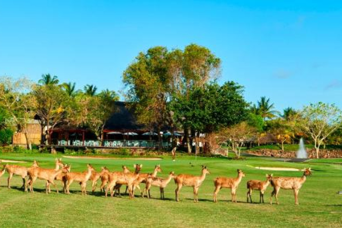 Constance Belle Mare Plage Resort
