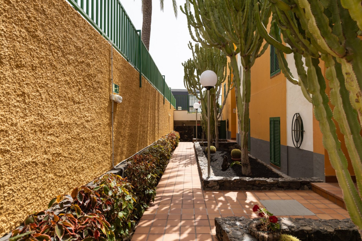 Apartamentos Cordial Judoca Beach