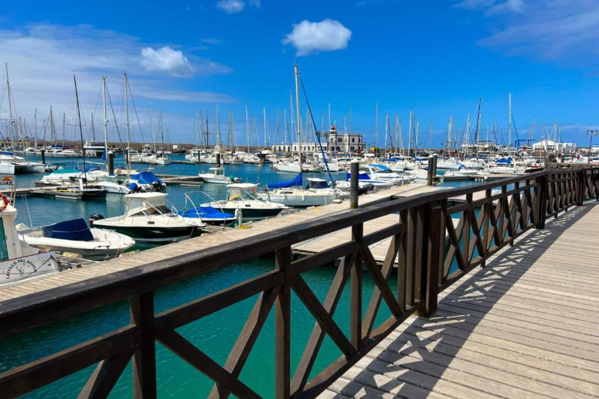 Cordial Marina Blanca