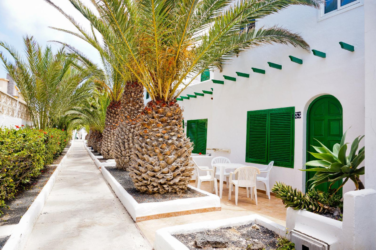 Cotillo Lagos