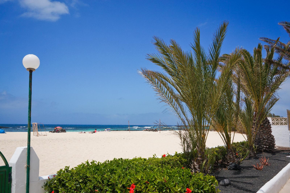 Cotillo Lagos
