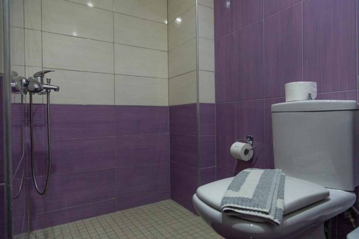 Dafni Plus