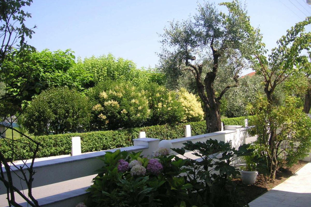 Danae Hotel