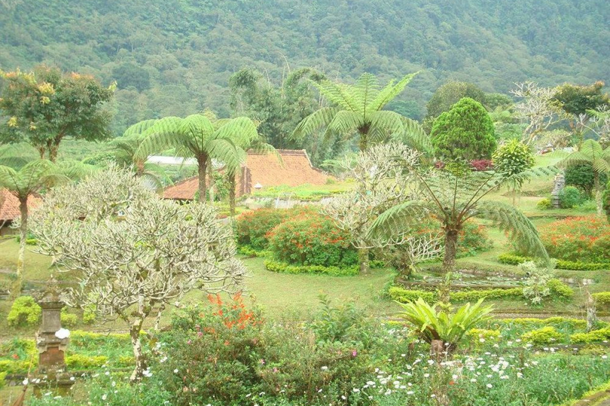 Danau Buyan Resort