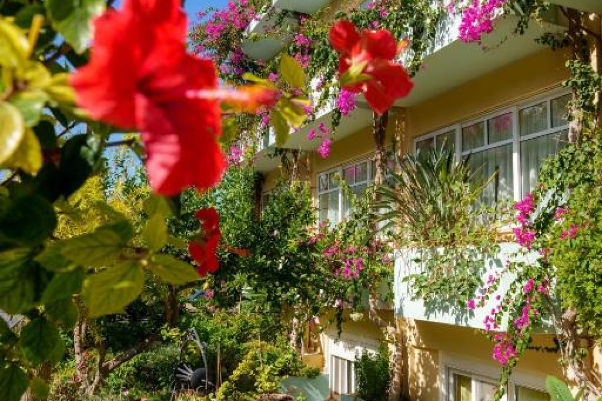 Hotel Dedalos Beach
