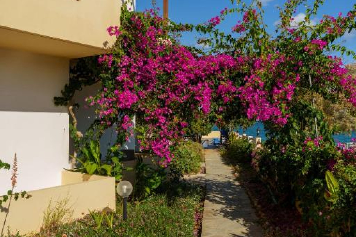 Hotel Dedalos Beach