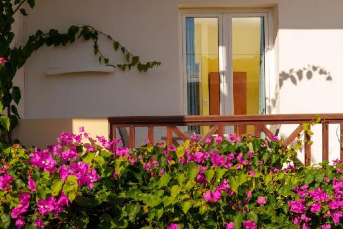 Hotel Dedalos Beach