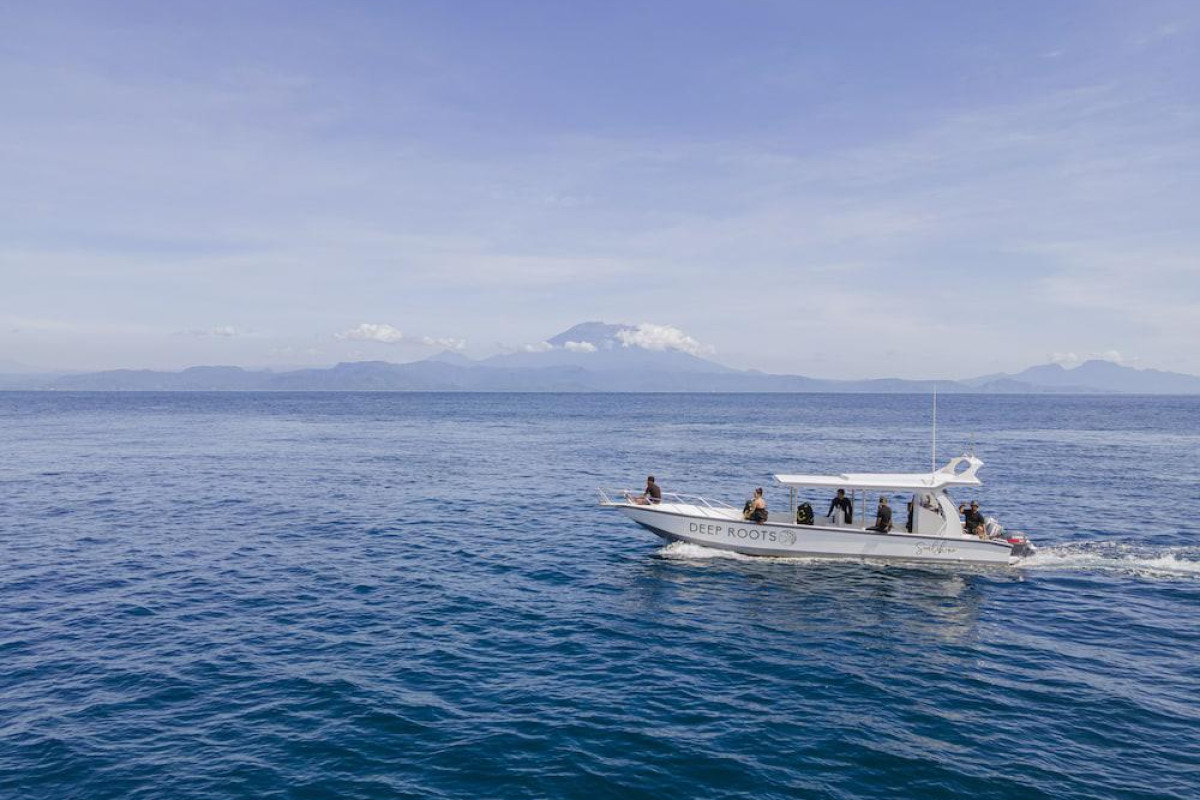 Deep Roots Dive & Yoga Resort