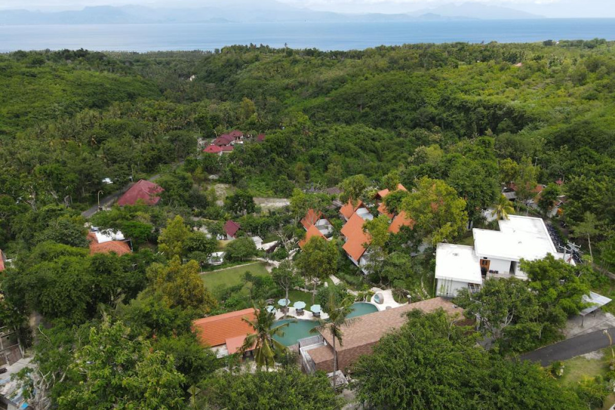 Deep Roots Dive & Yoga Resort
