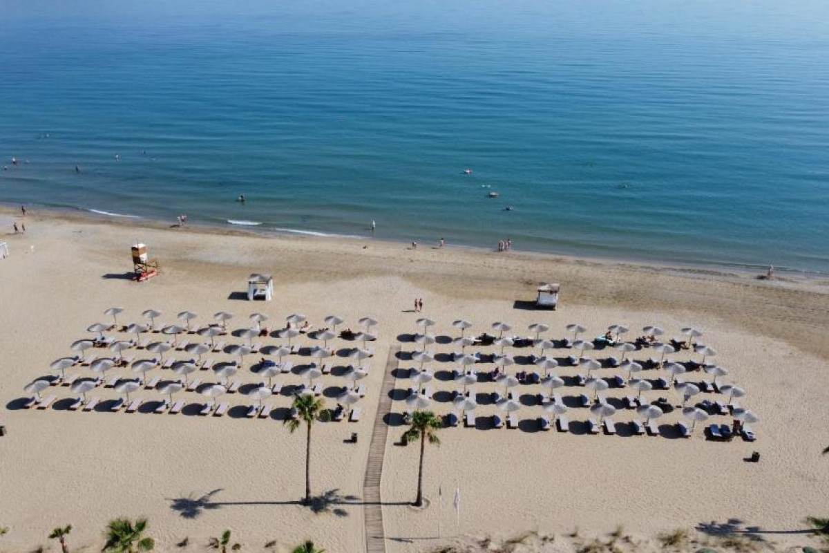 Delfina Tropic Beach