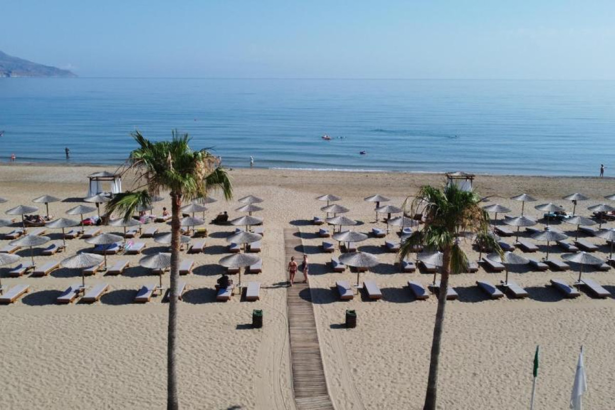 Delfina Tropic Beach