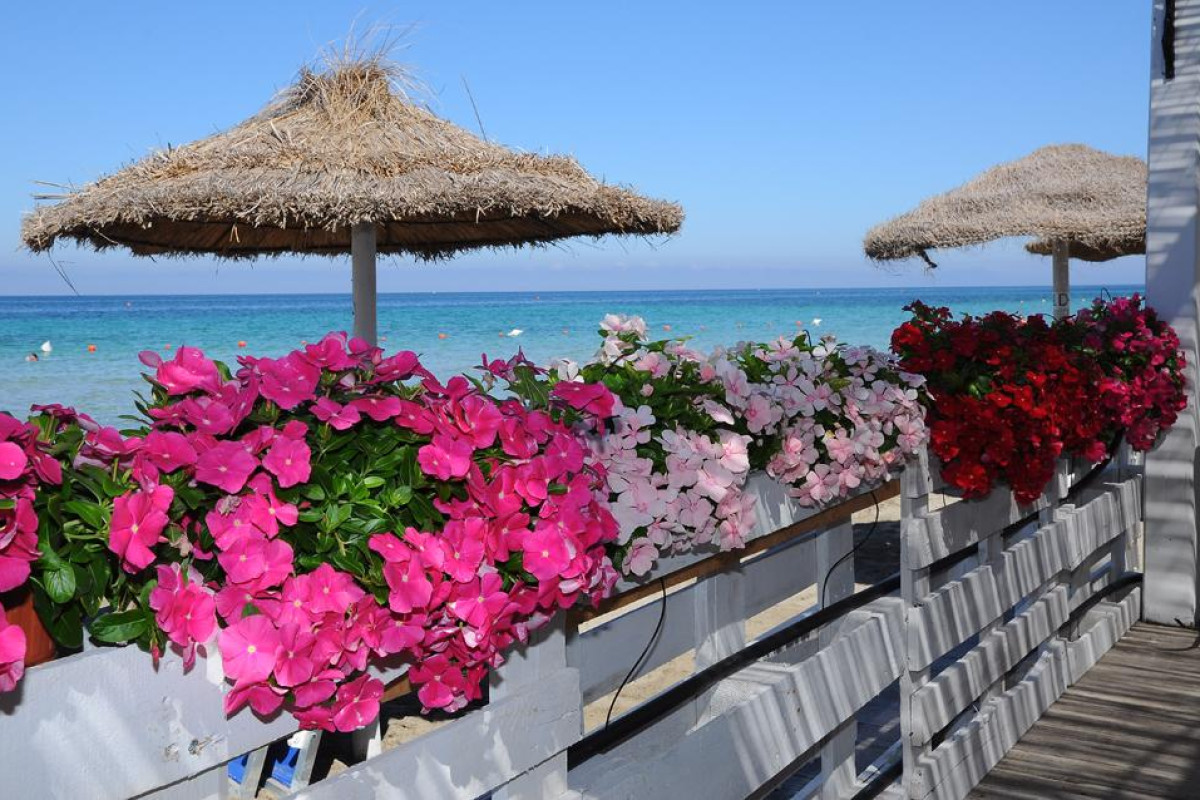 Delfino Beach Hotel