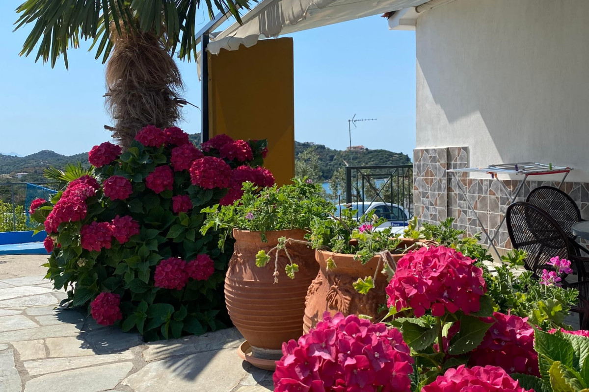 Demi Studios Halkidiki