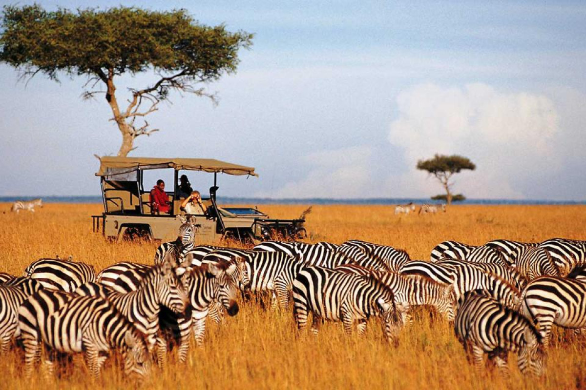 Descoperă Safari & Marea Migrație din Kenya cu Imperator