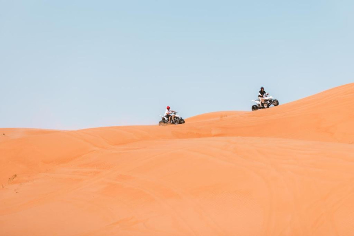 Desert Nights Camp