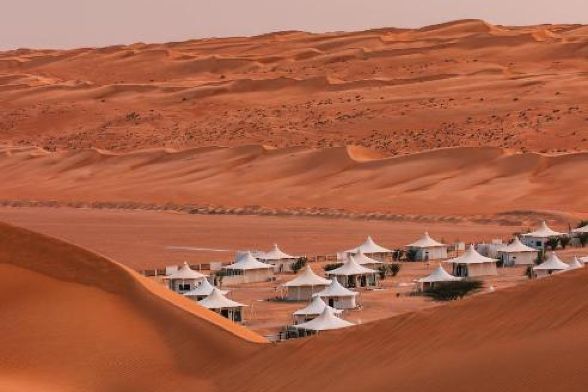Desert Nights Camp