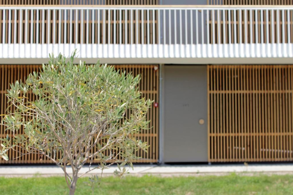 Despotiko Apartment Hotel  Suites