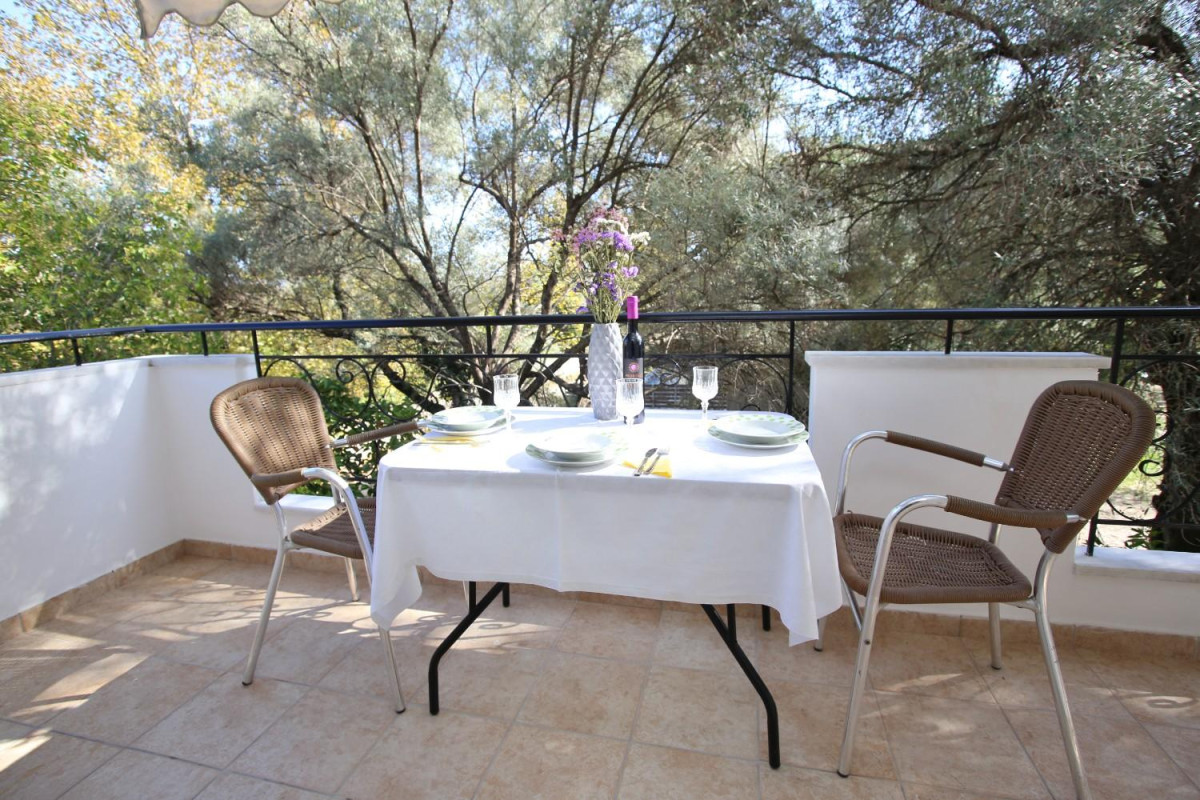 Dimitris & Zois Studio