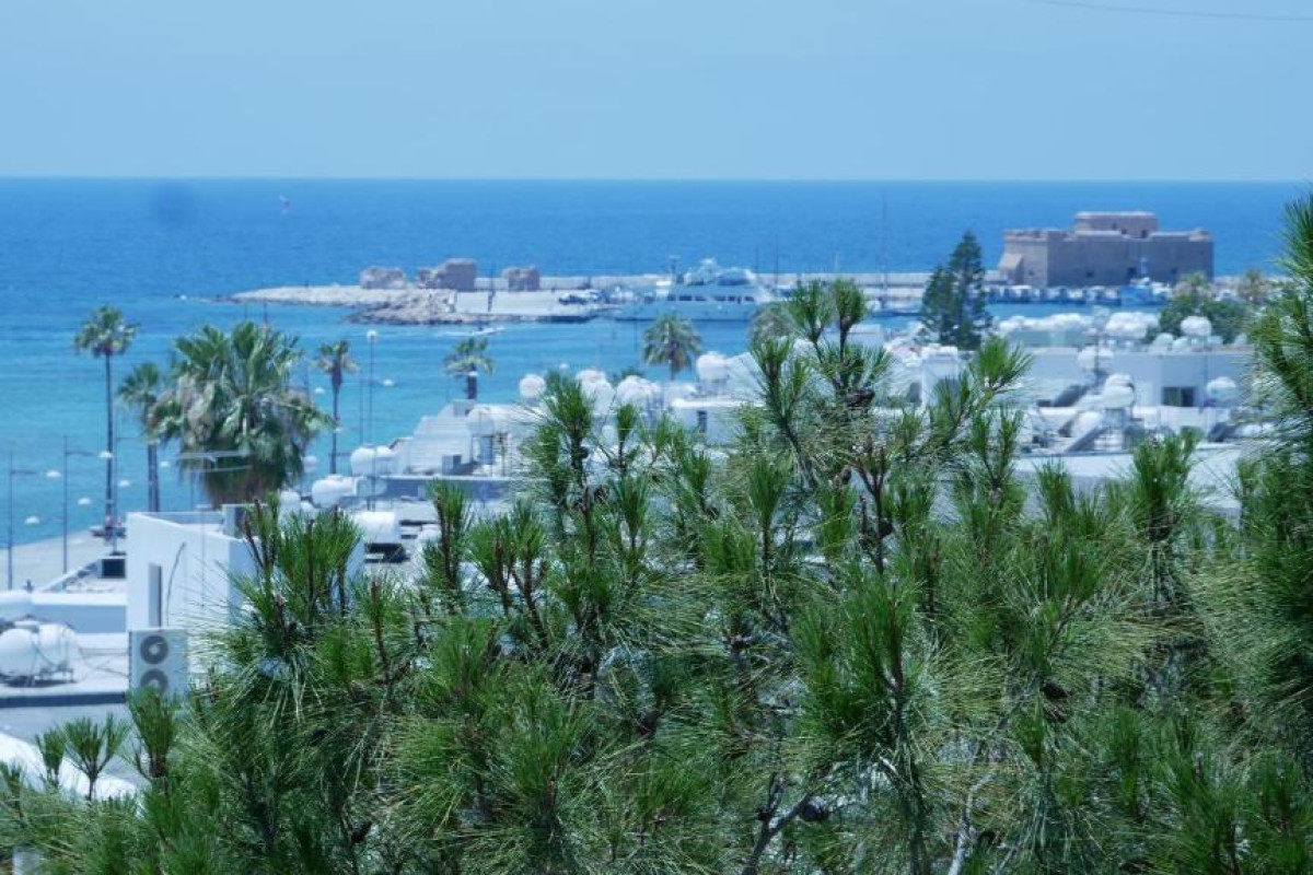 Dionysos Central Hotel