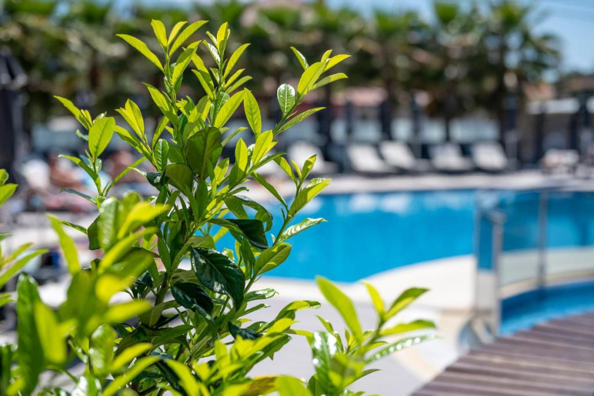Dionysos Hotel & Suites