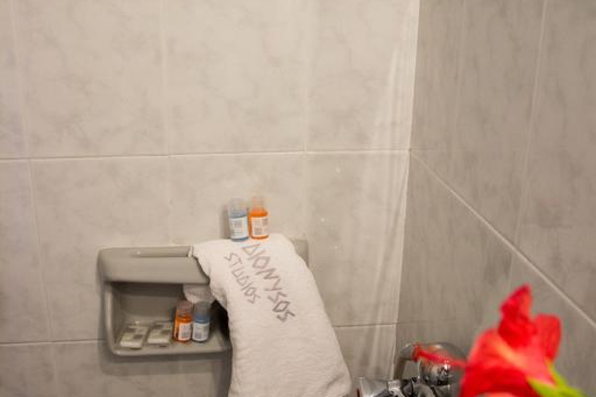 Dionysos Studios Apartments Nidri