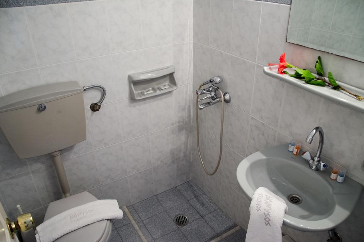 Dionysos Studios Apartments Nidri