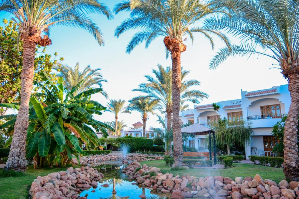 DIVE INN RESORT_