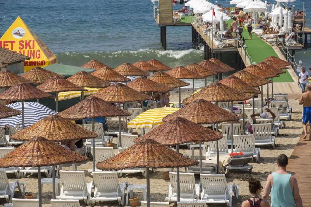 DIZALYA PALM GARDEN
