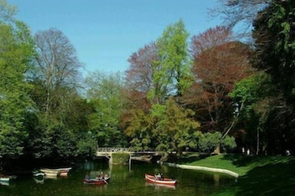 DO LAGO
