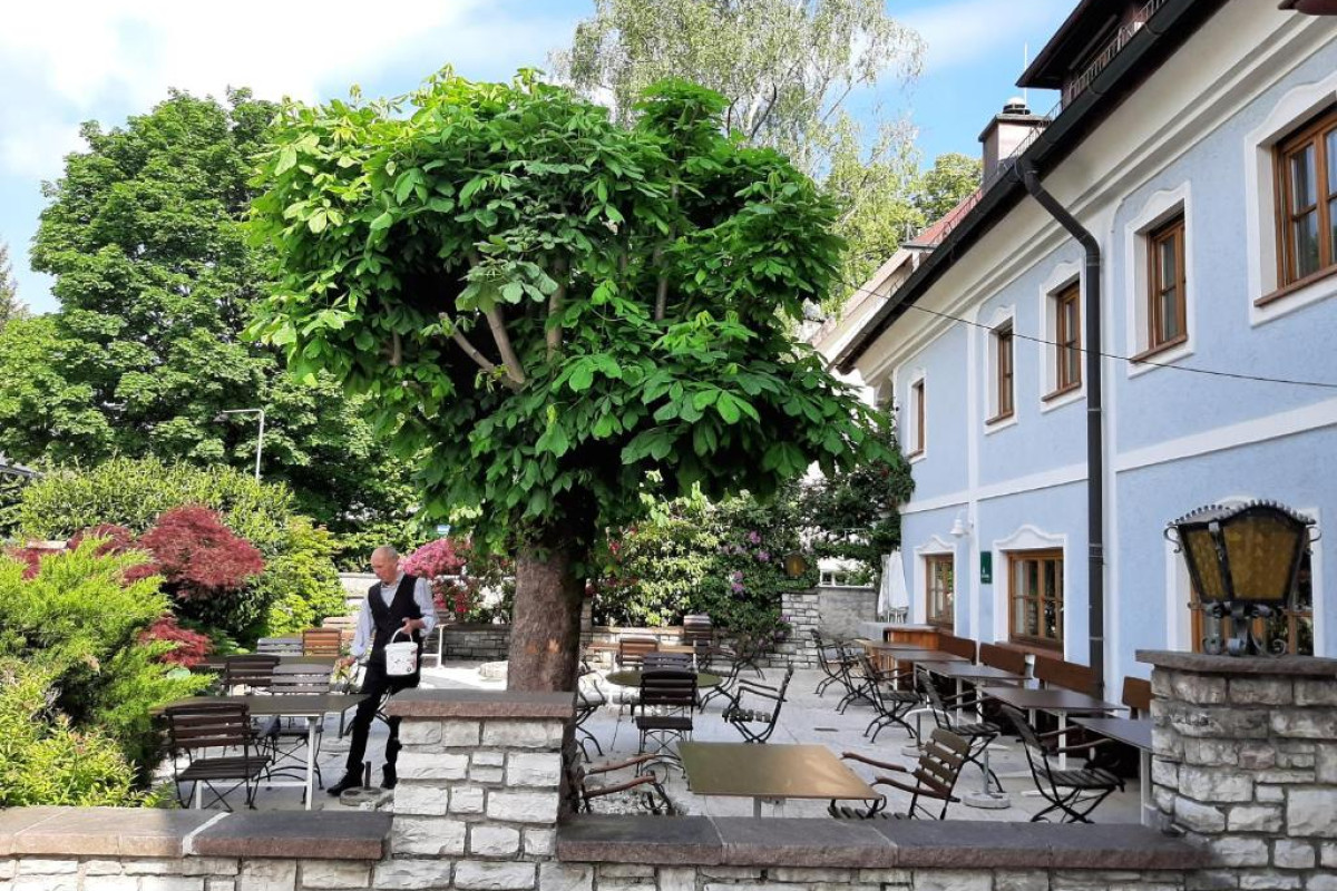 Doktorwirt