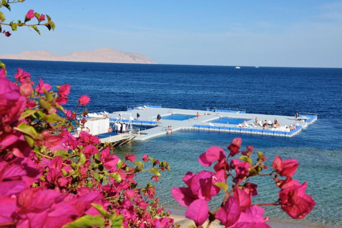 Domina Coral Bay Resort, Diving , Spa & Casino