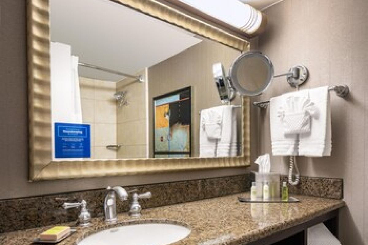 DOUBLETREE BY HILTON DALLAS - MARKET CENTER