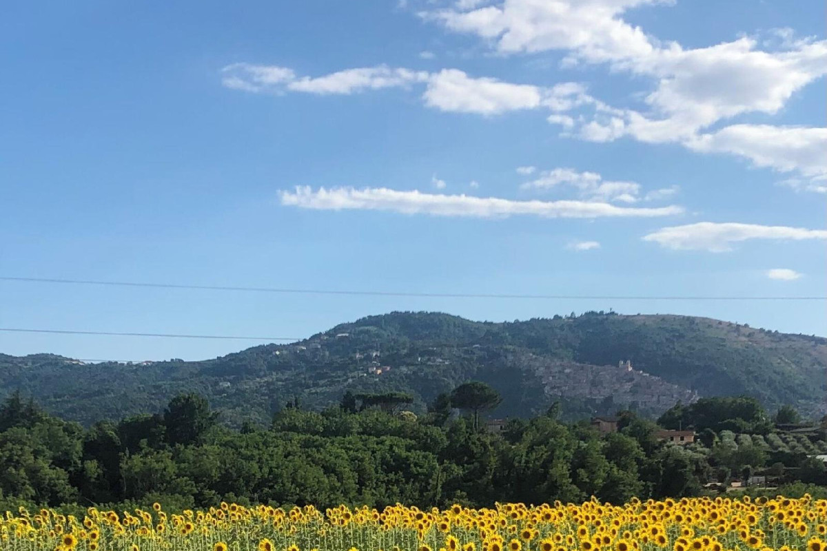 Dreams Valley B&B