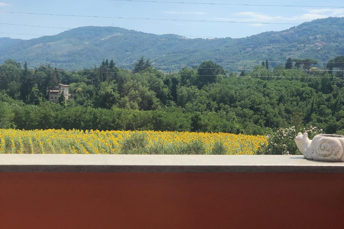 Dreams Valley B&B