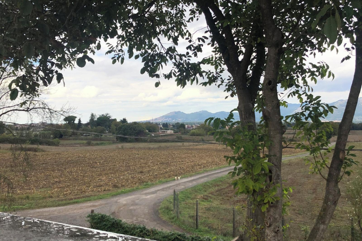 Dreams Valley B&B