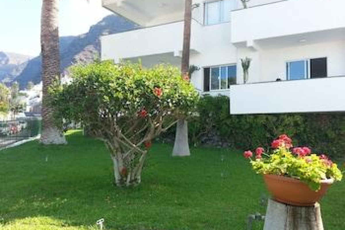 El Sombrero Apartments Los Gigantes