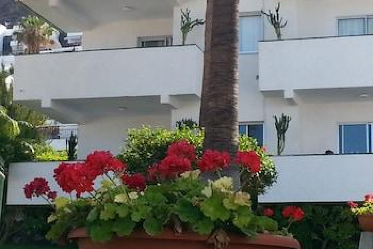 El Sombrero Apartments Los Gigantes