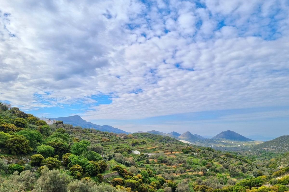 ELaiolithos