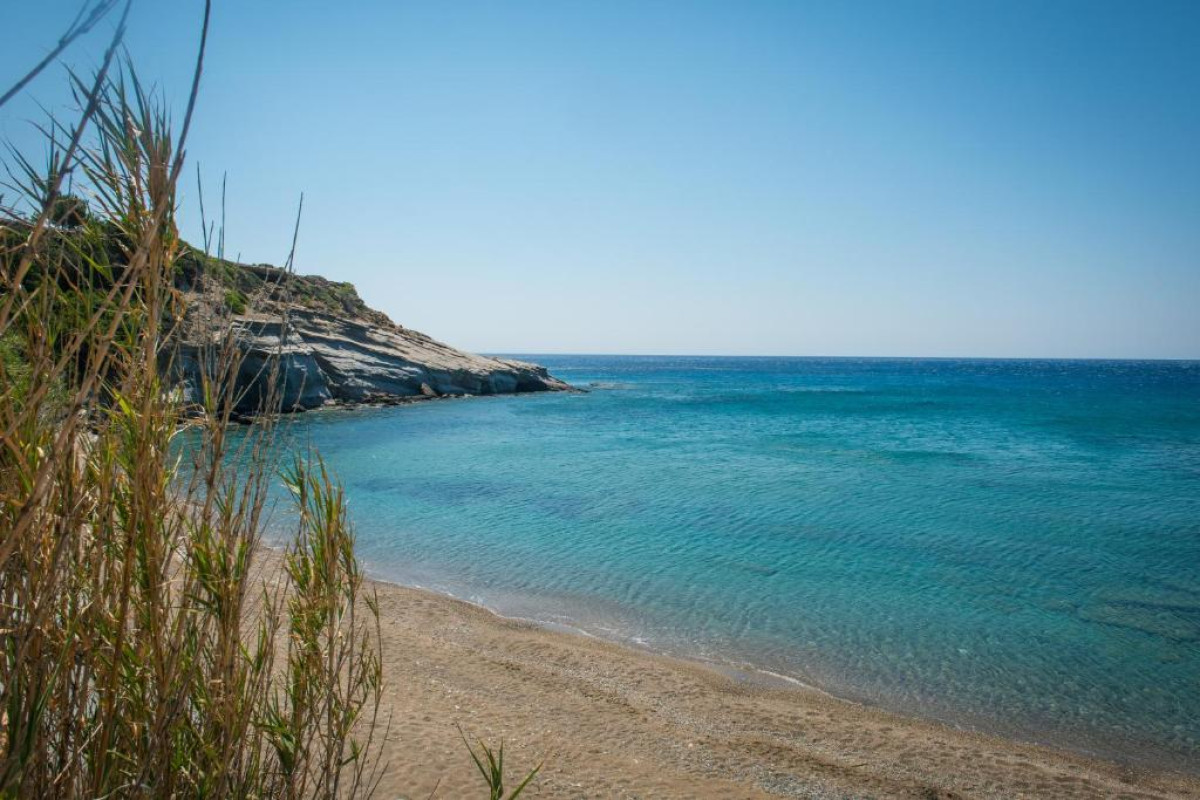 Elena's Beach Garden