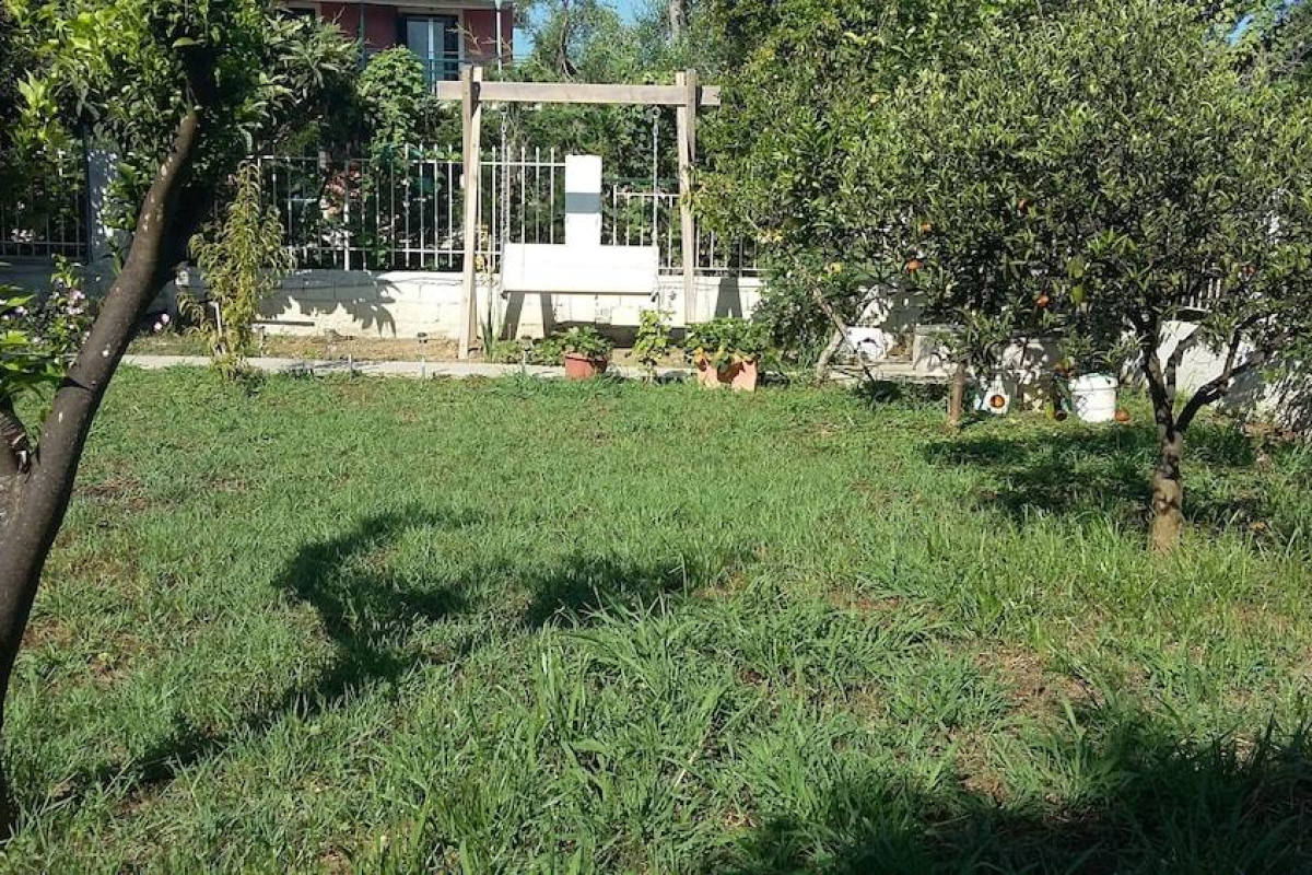 Elena's Garden