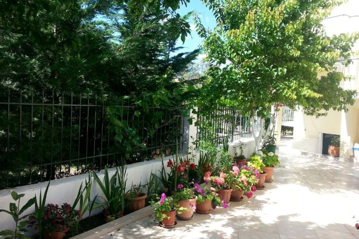 Elena's Garden