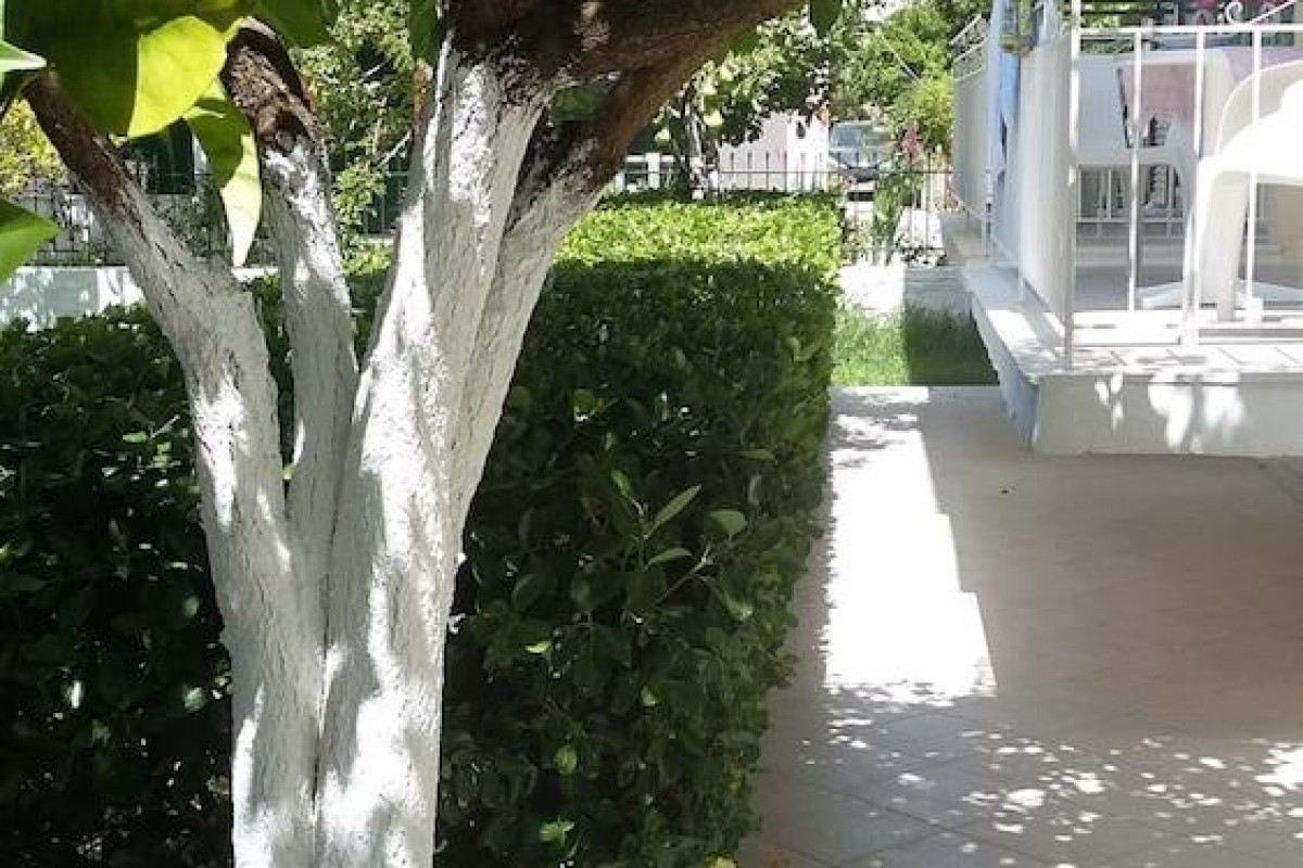 Elena's Garden