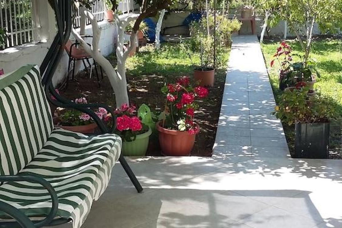 Elena's Garden