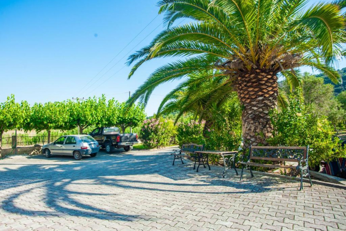 Eleni Studios Skala