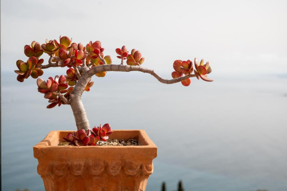 Elios Hotel Taormina