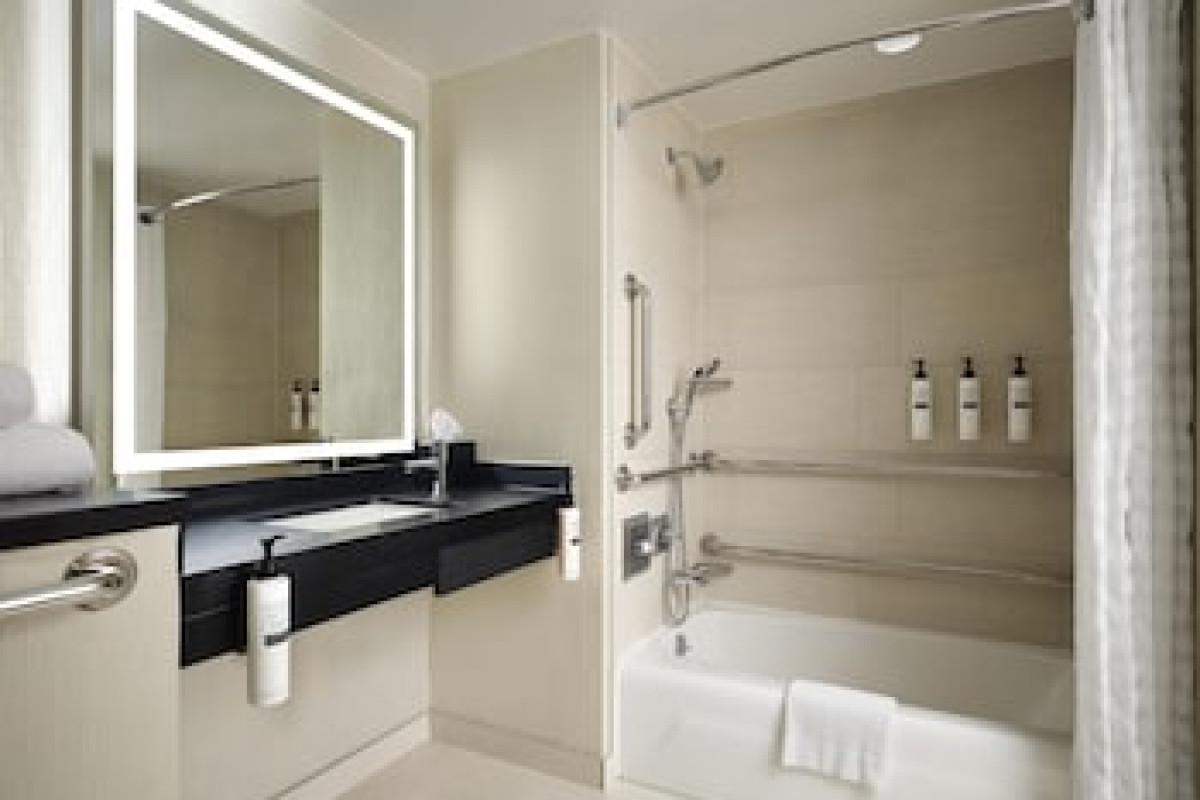 EMBASSY SUITES CHICAGO DOWNTOWN MAGNIFICENT MILE