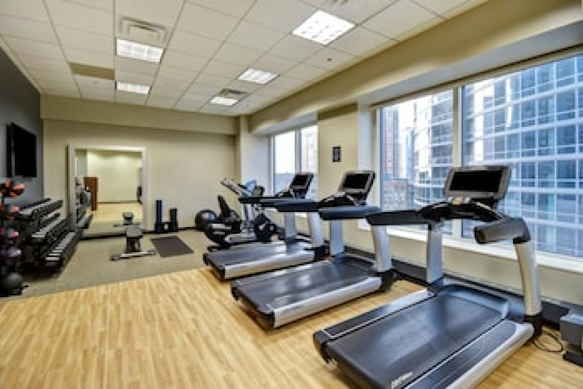EMBASSY SUITES CHICAGO DOWNTOWN MAGNIFICENT MILE