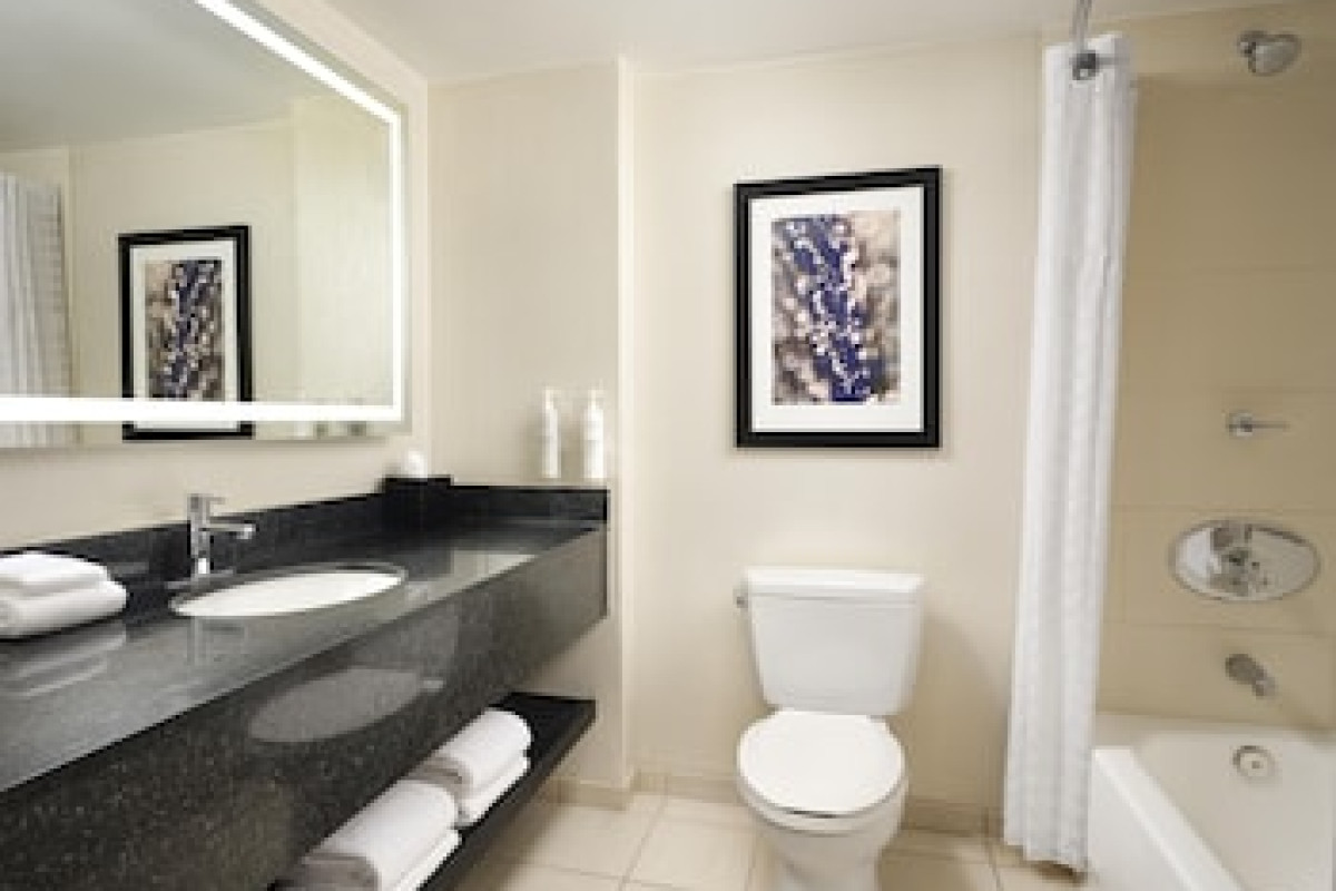 EMBASSY SUITES CHICAGO DOWNTOWN MAGNIFICENT MILE