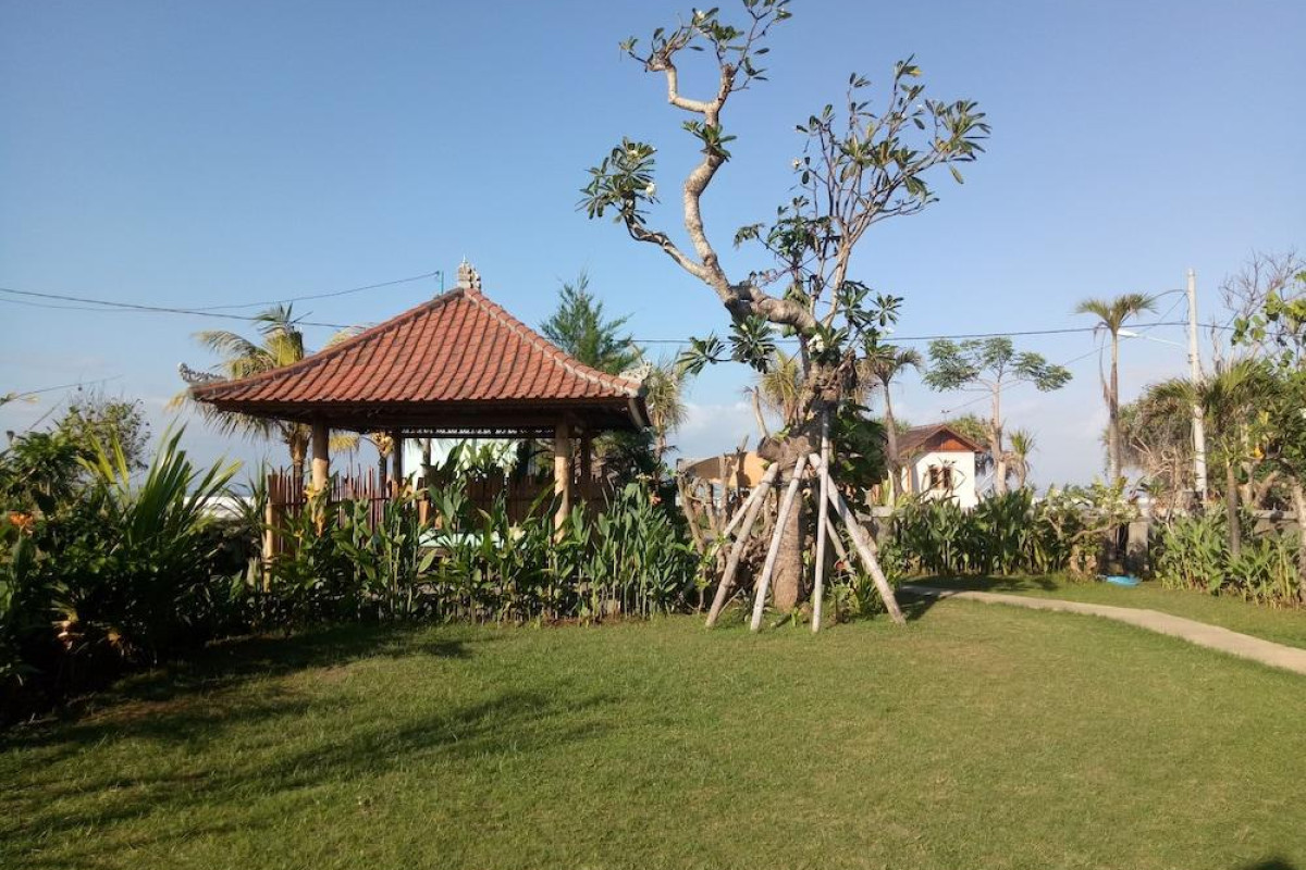 Emir Surfcamp