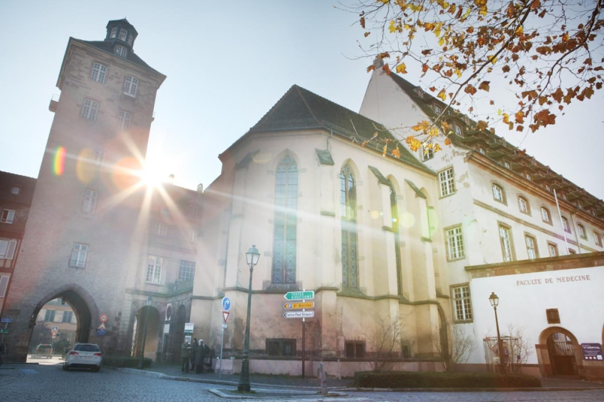 Hotel Ettenheim